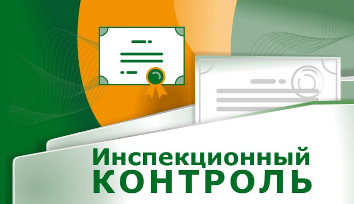 Разъяснения об инспекционном контроле