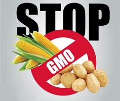 Протокол на ГМО